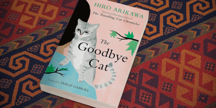 Exploring the Cinematic World of Hiro Arikawa