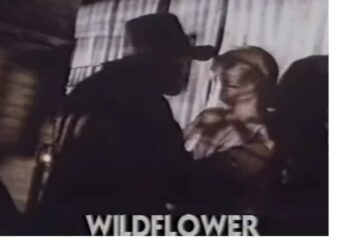 When Words Come Alive: Wildflower