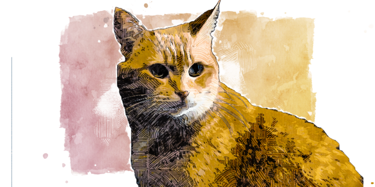 Enter the world of A Street Cat Named Bob and transform your wardrobe with a personal touch and style tips.