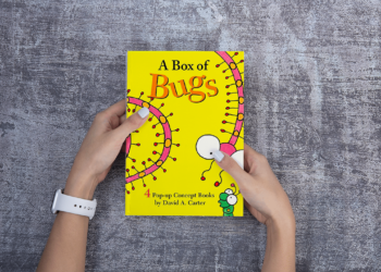 Exploring the Cinematic World of David Carter