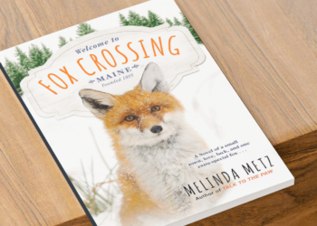 Exploring the Cinematic World of Melinda Metz